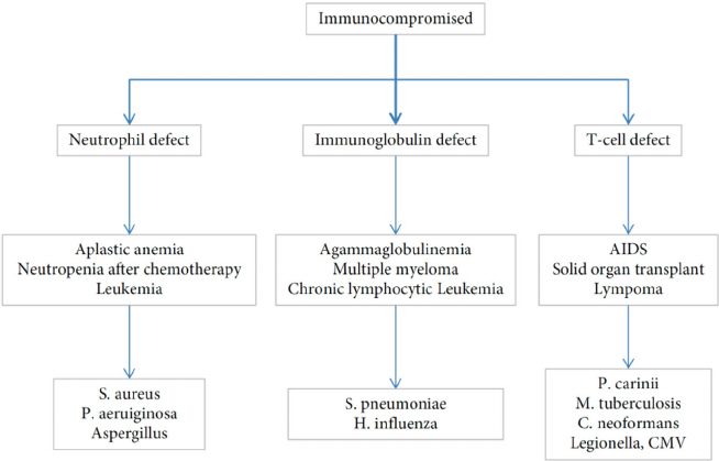 Immunocompromised: what is this condition?