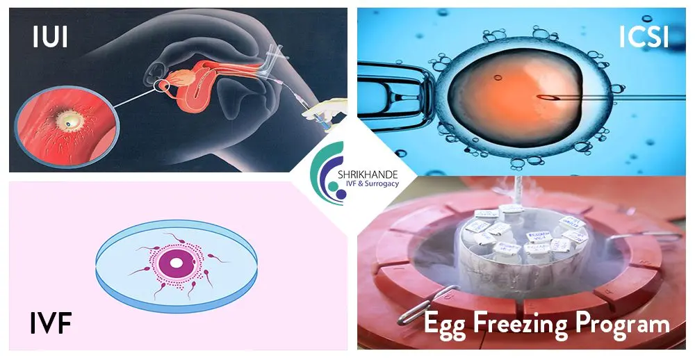 Infertility: we treat ailment in Rostov (IVF, hirudotherapy, something else)