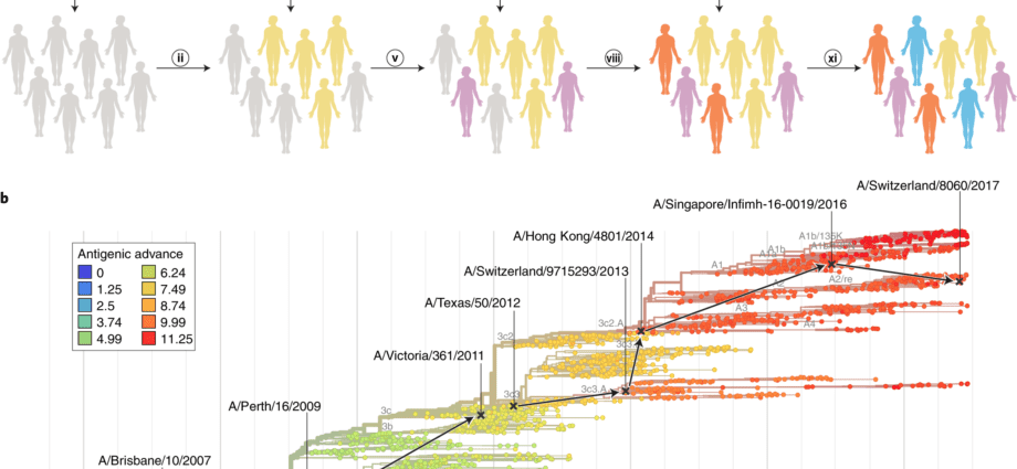 Influenza A1 / H1N1 vaccine created