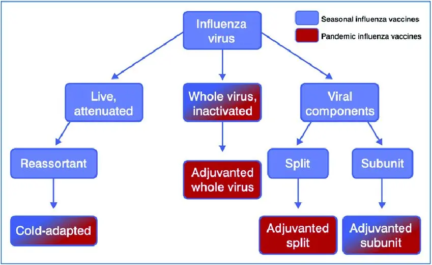 Influenza &#8211; Complementary Approaches