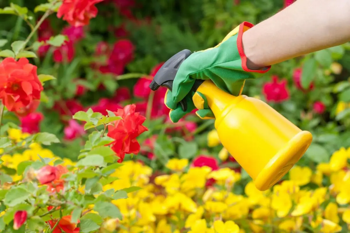 Insecticide: application for the garden