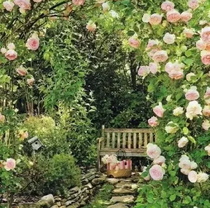 Intensive gardens: bookmark