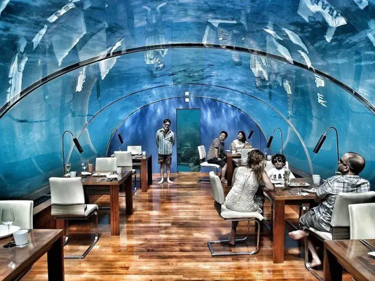 Interesting menu: 8 unusual fish restaurants in Moscow