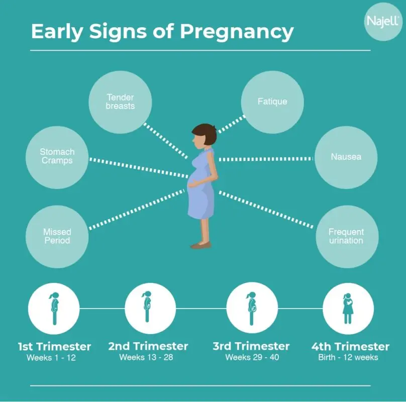 Intestinal colic during pregnancy: symptoms