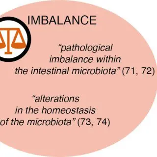 Intestinal flora: Definition, Imbalance, Reconstitution