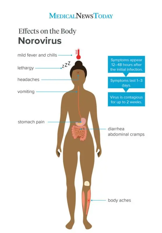 Intestinal flu (symptoms, signs, treatment)