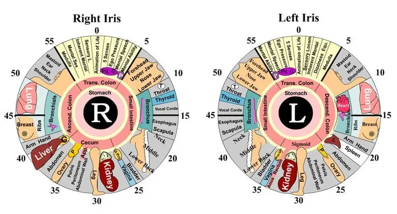 Iridology