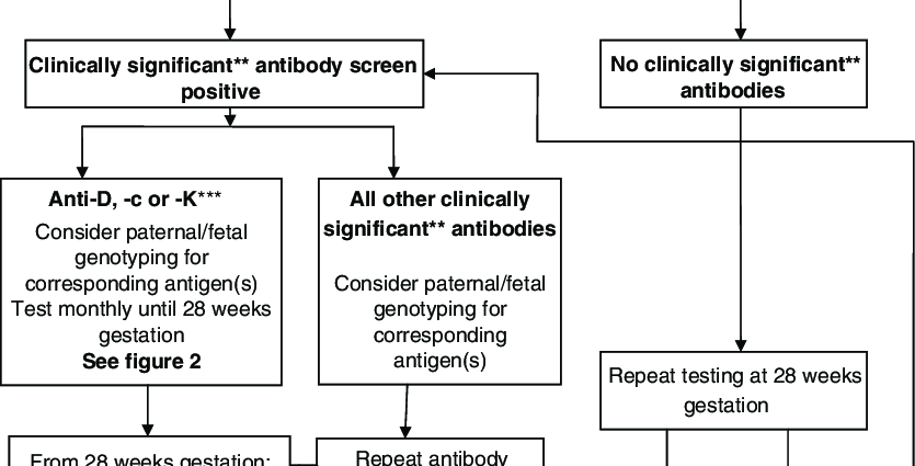 Irregular agglutinins: RAI in pregnancy follow-up