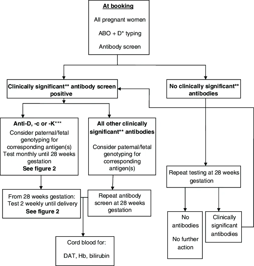 Irregular agglutinins: RAI in pregnancy follow-up