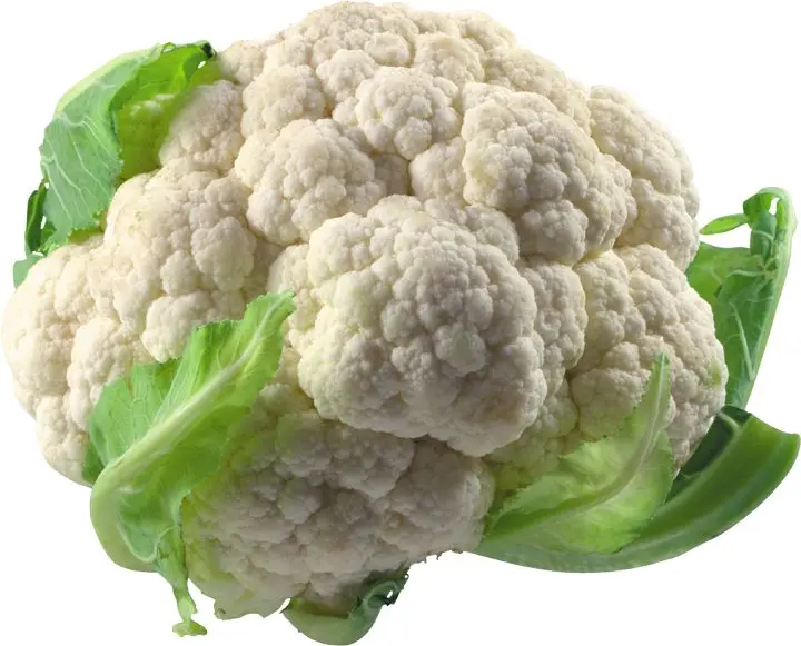 Is it possible for a nursing mother to have cabbage: fresh, sauerkraut, stewed, sea or cauliflower
