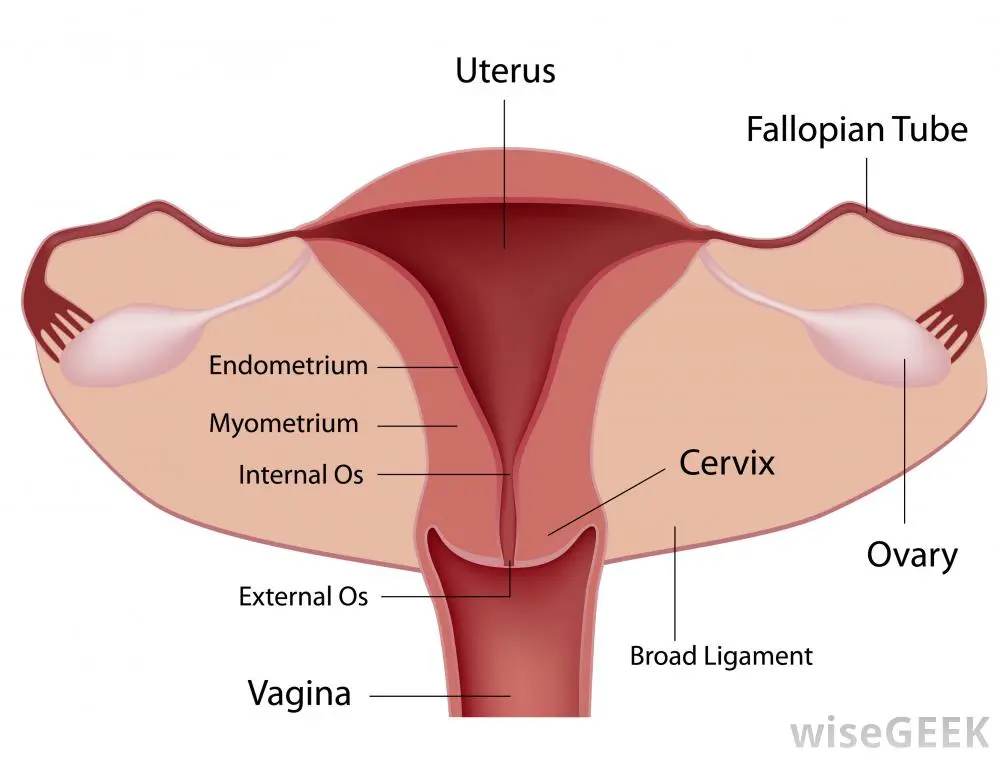 Is it possible to get pregnant with one uterine tube, passable, impassable, right