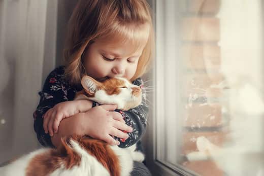 האם זה נכון שחתולים לא אוהבים ילדים קטנים?