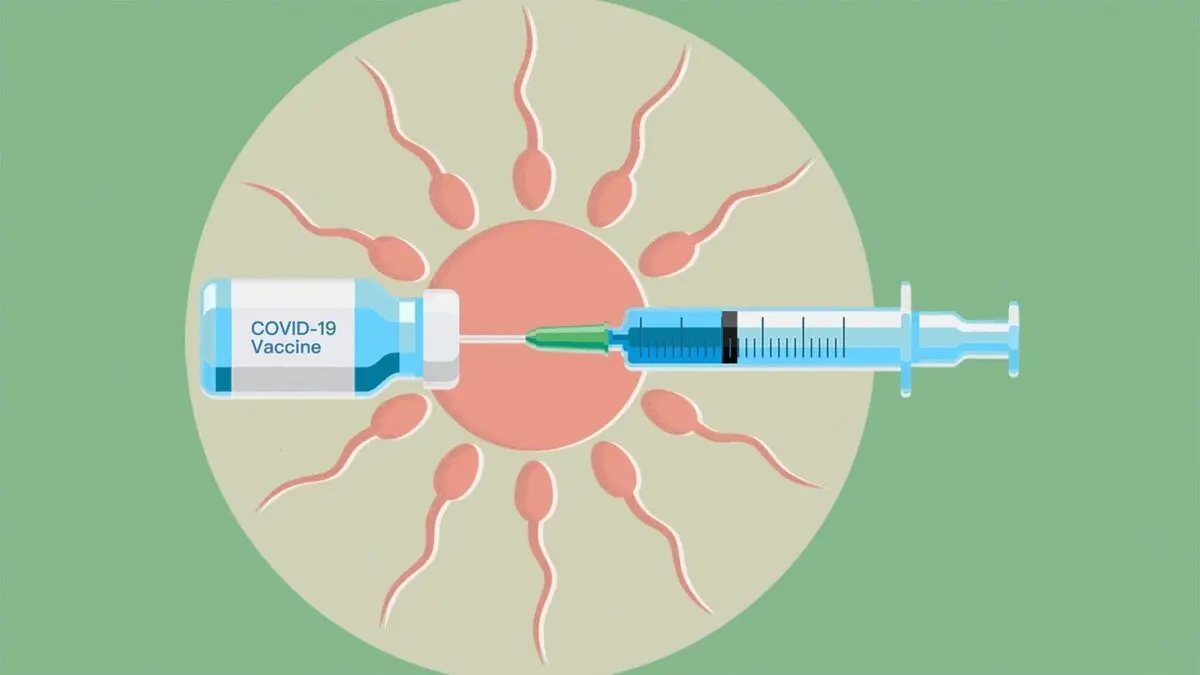 Is there a risk of infertility after covid?