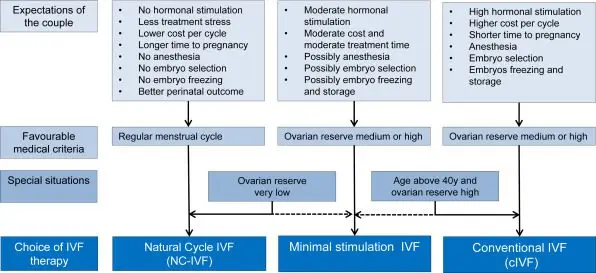 IVF in a natural cycle: increasing the effectiveness of infertility treatment