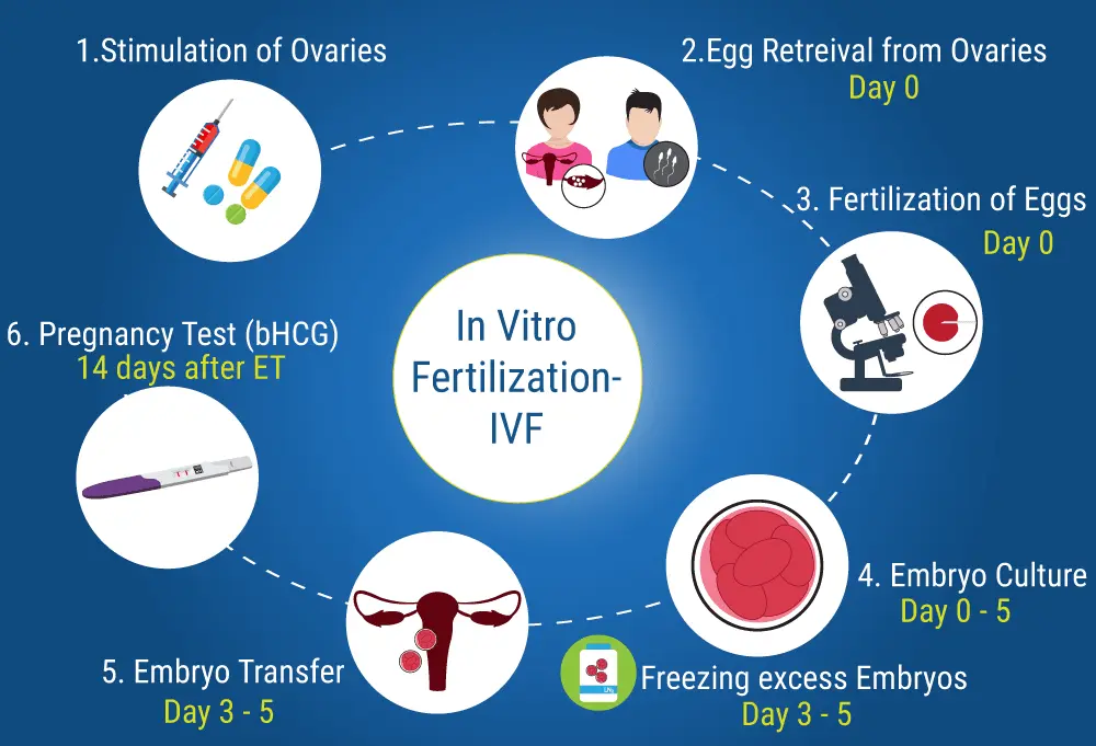 IVF in Magnitogorsk: cost and reviews