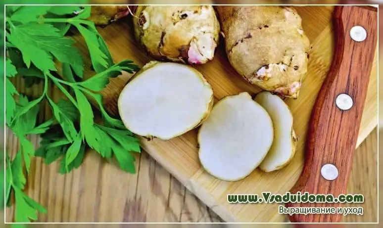 Jerusalem artichoke: useful properties and recipes. Video