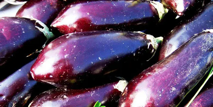 How and where to store eggplants correctly?