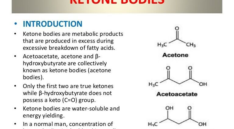 Ketone bodies: definition, roles and effects