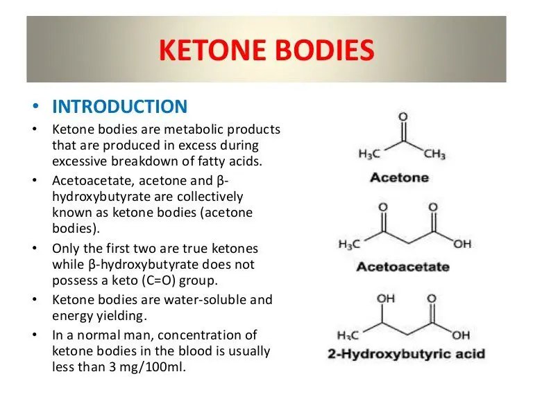 Ketone bodies: definition, roles and effects