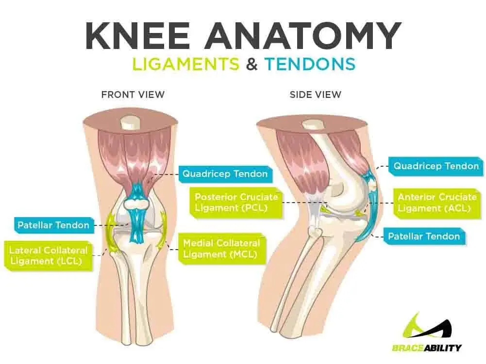 Knee pain, Knee pain: causes, Pain under the knee, Knee pain: treatment, Knee pain when bending