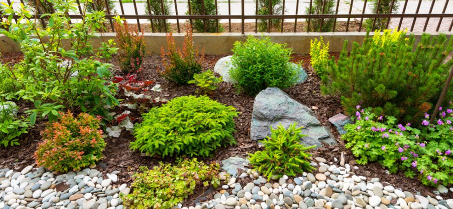 Landscaping a small area: a few ideas