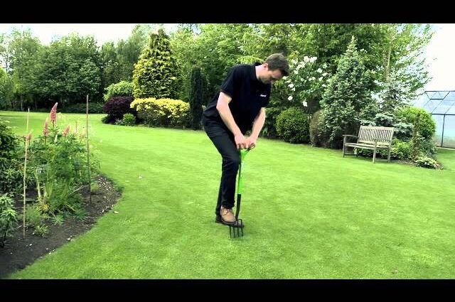 Lawn care in spring: green lawn. Video