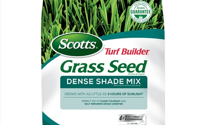 Lawn grass seeds: mix, consumption