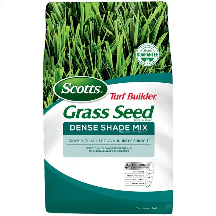 Lawn grass seeds: mix, consumption