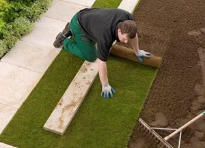 Laying roll lawn: laying technology