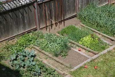 Lazy garden