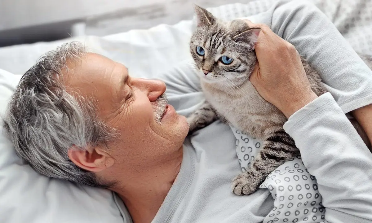 Learn more about the benefits of cats for humans