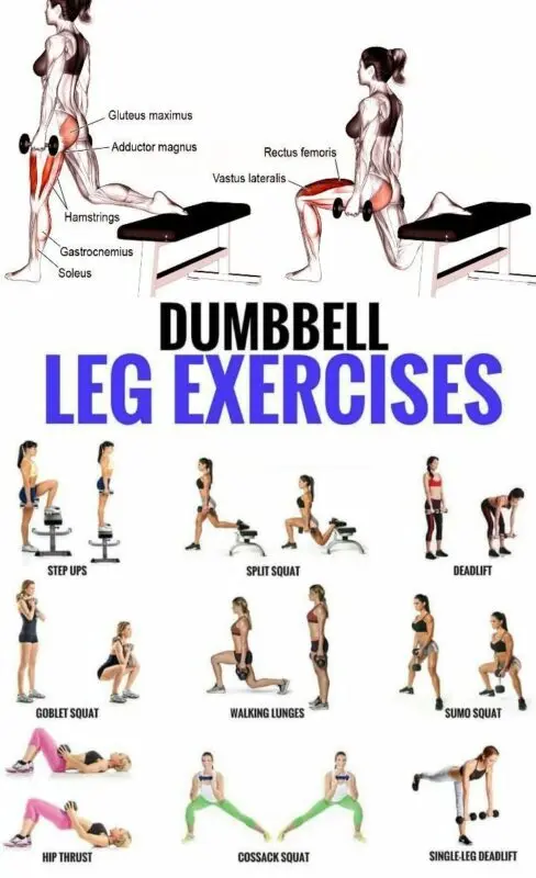 Leg exercises: how to use dumbbells for steel thighs