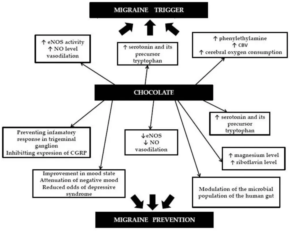 Life is not sweet: 12 nutritional guidelines for migraine sufferers