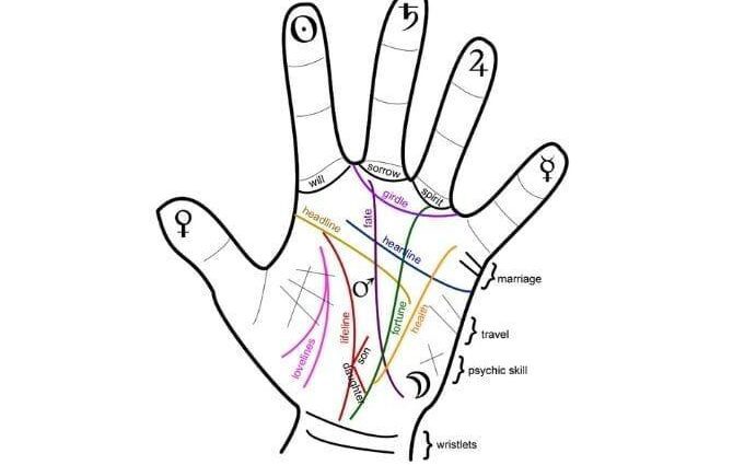 Lines on the child&#8217;s hand: we read the character in the palm of the hand