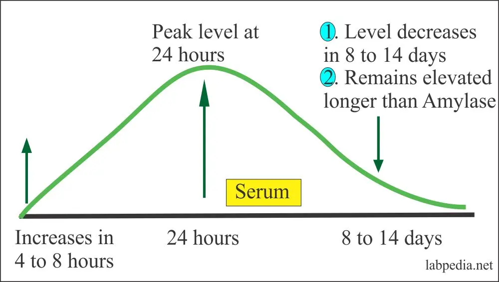 Lipase level analysis