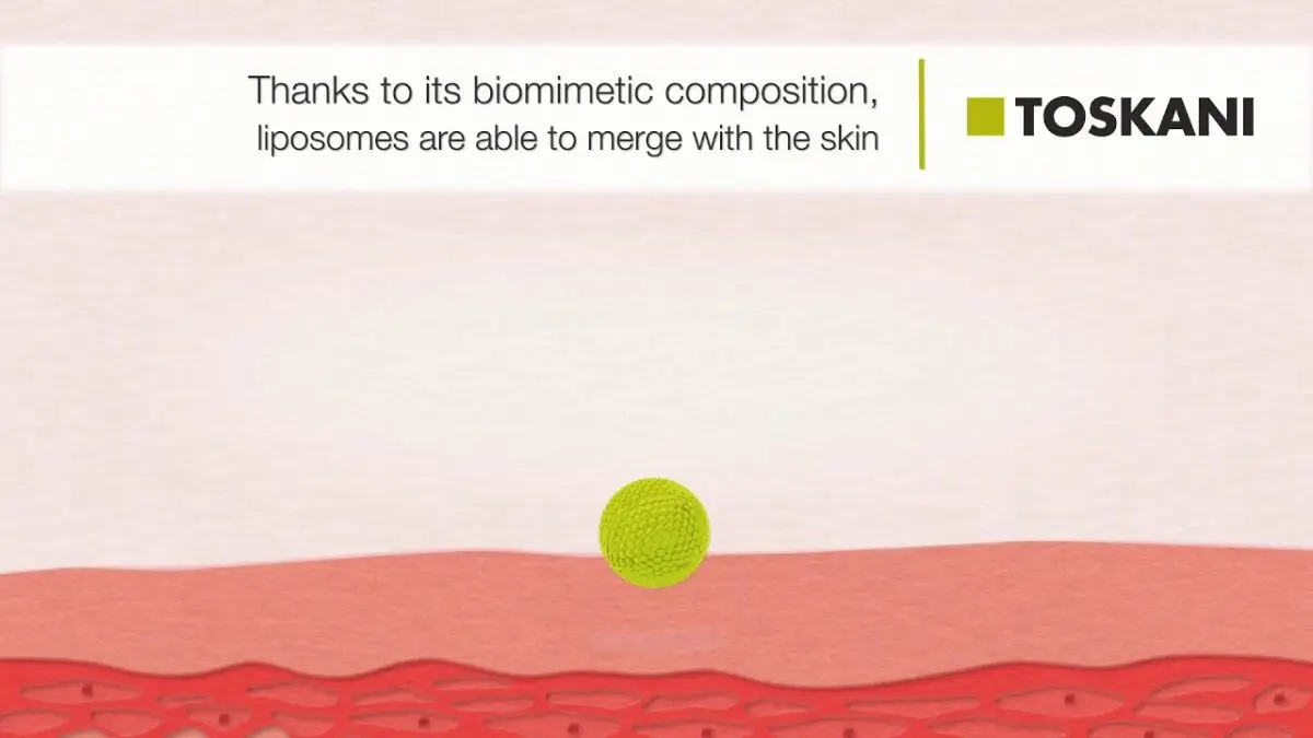 Liposomes in cosmetics. Video