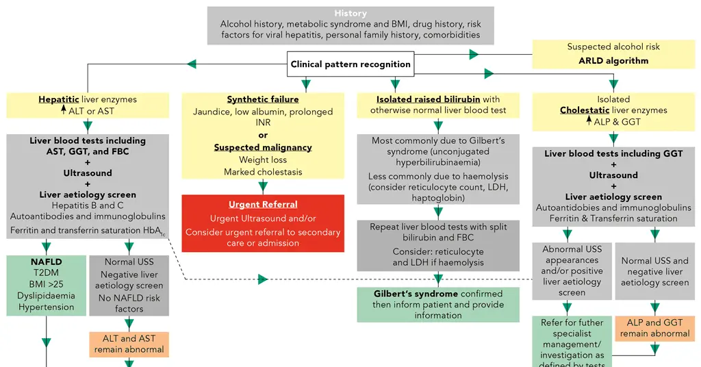 Liver function tests: interpreting the results