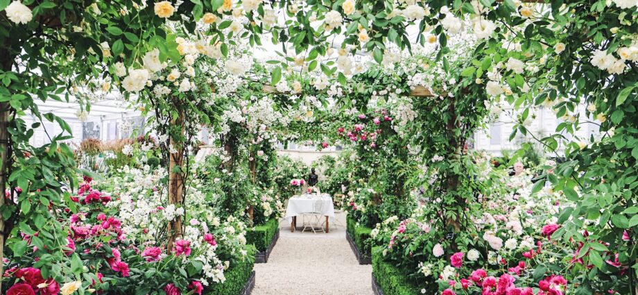 London flower show: photos