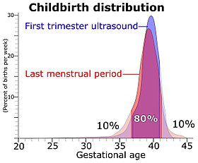 Lucky arithmetic: how the gestational age is considered