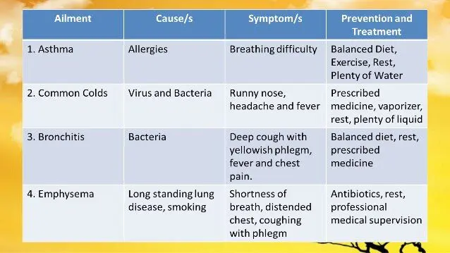 Lung Disease &#8211; Causes, Symptoms, Treatments