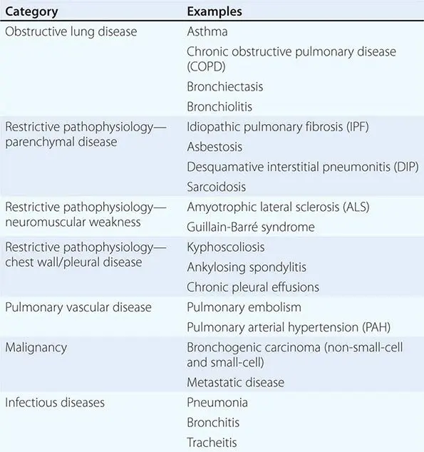 Lung parenchyma: role, pattern, abnormalities and diseases