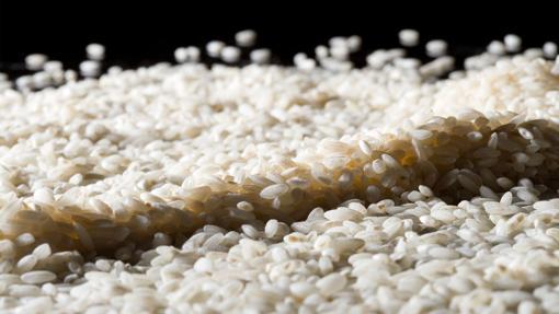 Luxury in grain, the best rice in the world