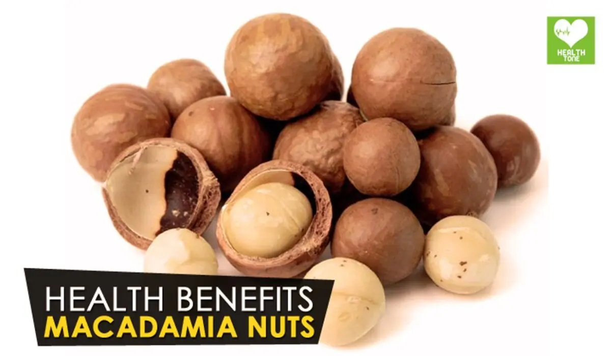 Macadamia nut: beneficial properties. Video