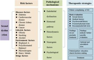 Male Sexual Dysfunction &#8211; Sites of Interest