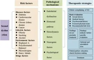 Male sexual dysfunction