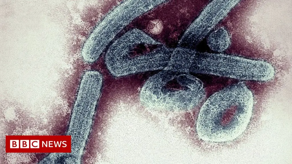 Marburg virus: is the disease detected in Guinea dangerous?