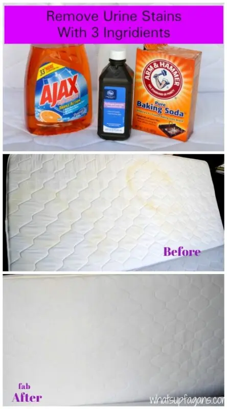 Mattress stains: how to remove? Video