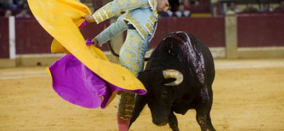 May in Madrid, Toros and Rabo