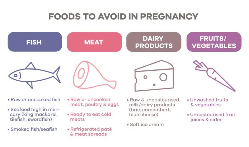 Meats and fish during pregnancy