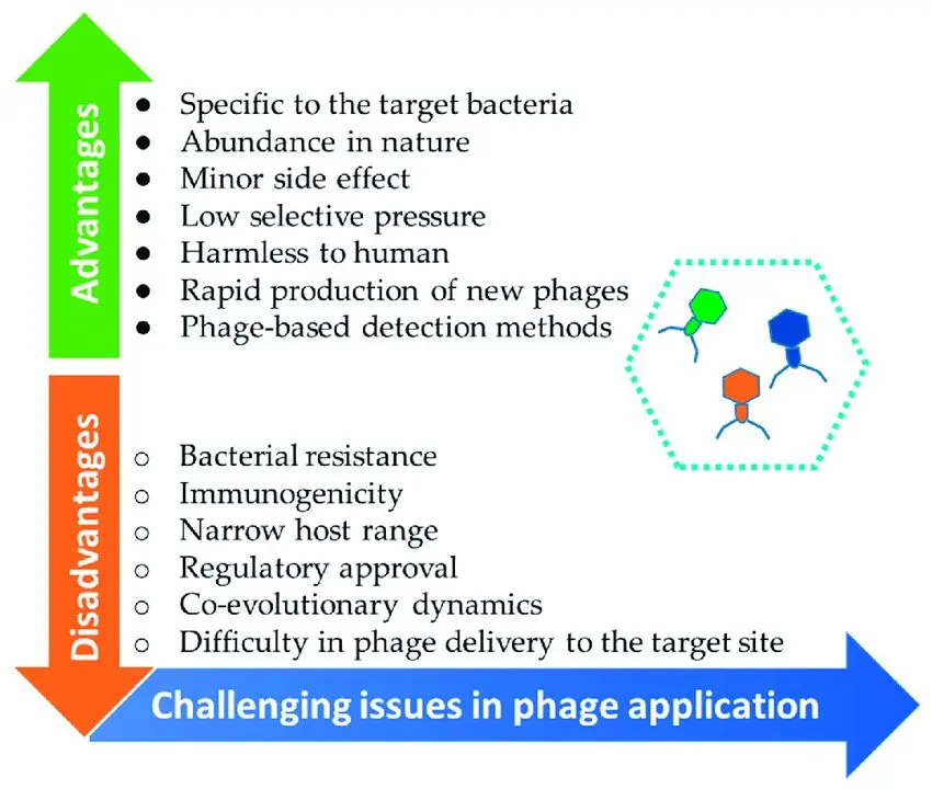 Medical treatments and approaches to salmonellosis